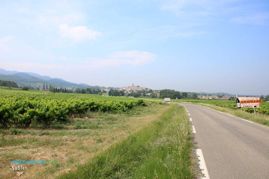 Vignoble &agrave; Sablet.