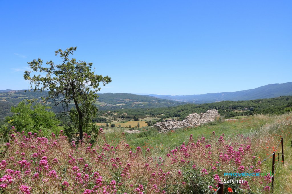 Vue depuis le rocher de Saignon.